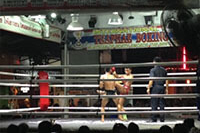 muay-thai-boxing
