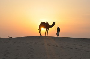 camel-desert-travel-bucket-list