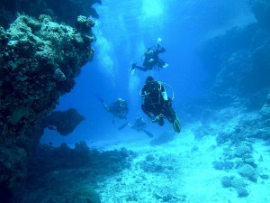 diving-galapagos-travel-bucket-list