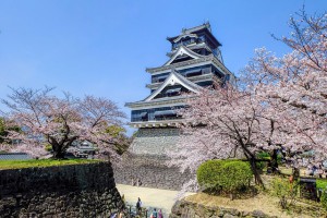 japan-spring-travel-bucket-list