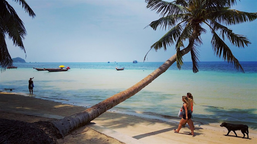 Sairee Beach Koh Tao Thailand 