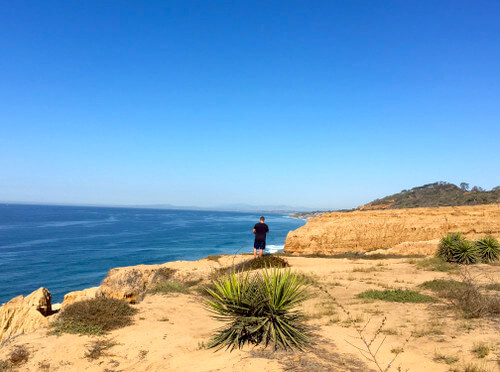 torrey-pines-oceanview